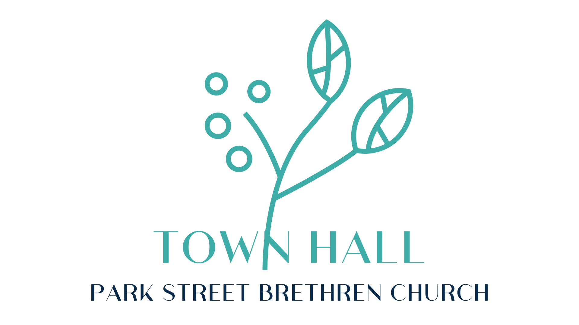 Town Hall and Carry-In Lunch