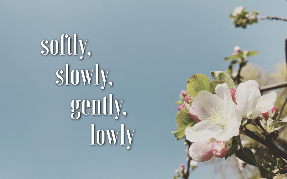 Softly, Slowly, Gently, Lowly